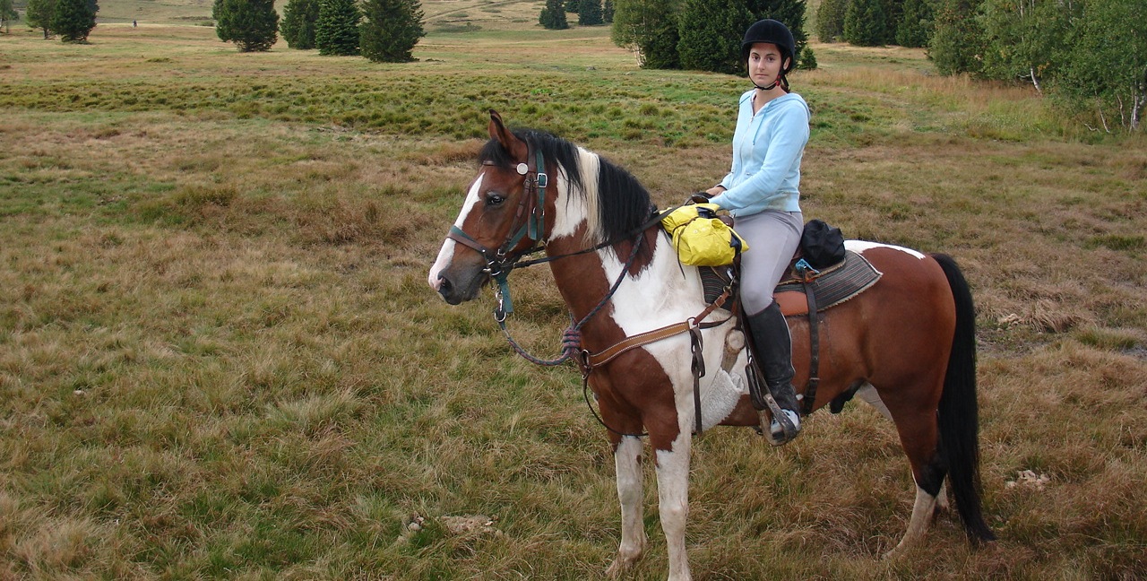 Communication animale