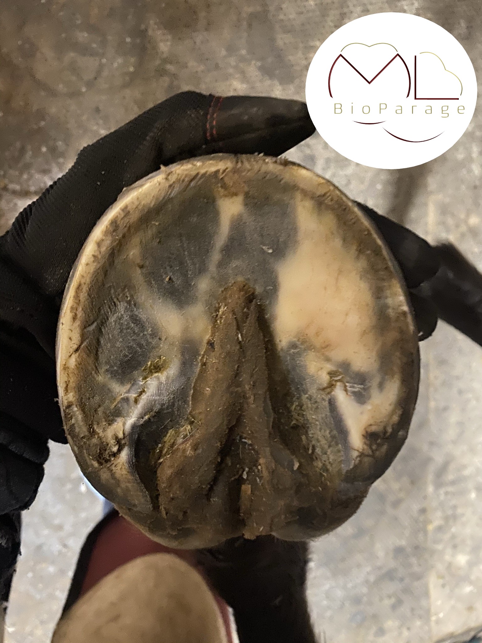 Parage naturel et physiologique