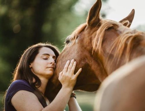 Les « vraies » clés de la réussite pour pratiquer la communication animale !