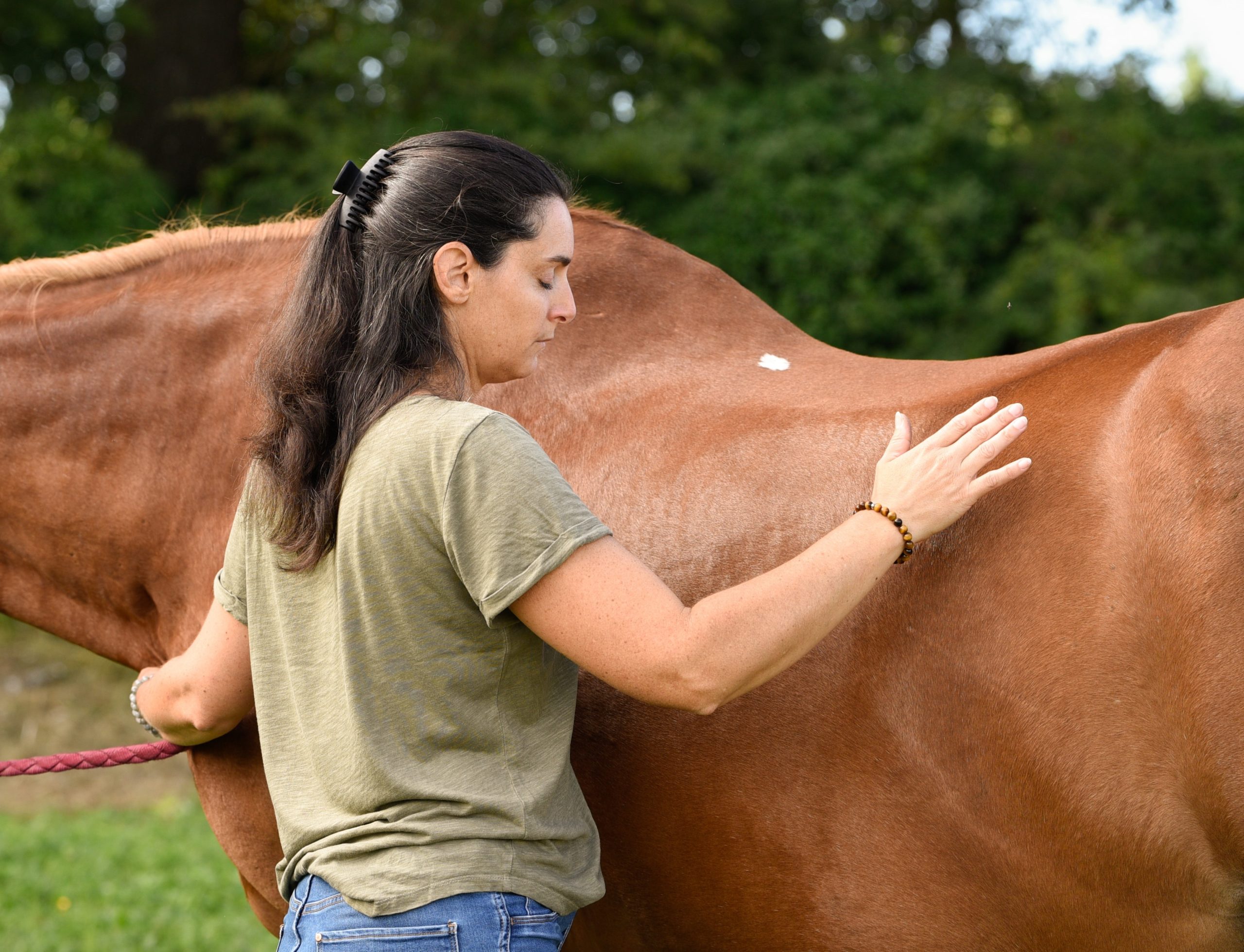 Soins énergétiques animaux