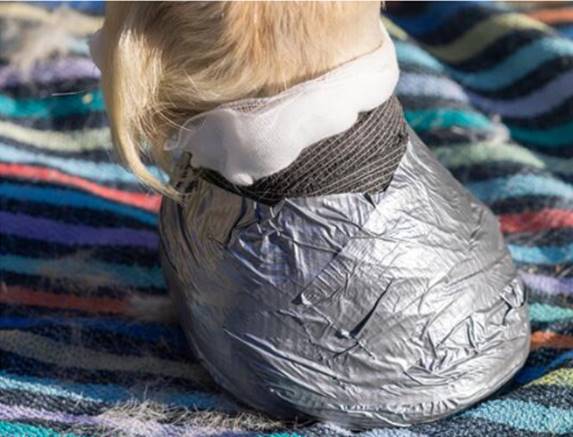 Chaussure artisanale fourbure